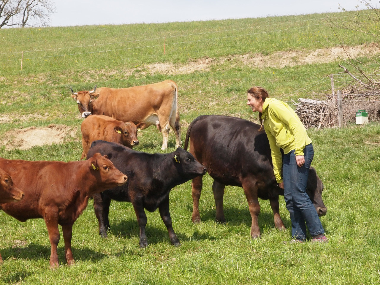 Landwirtschaft