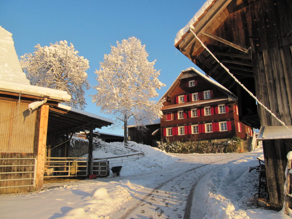 der Hof am 3. Dezember