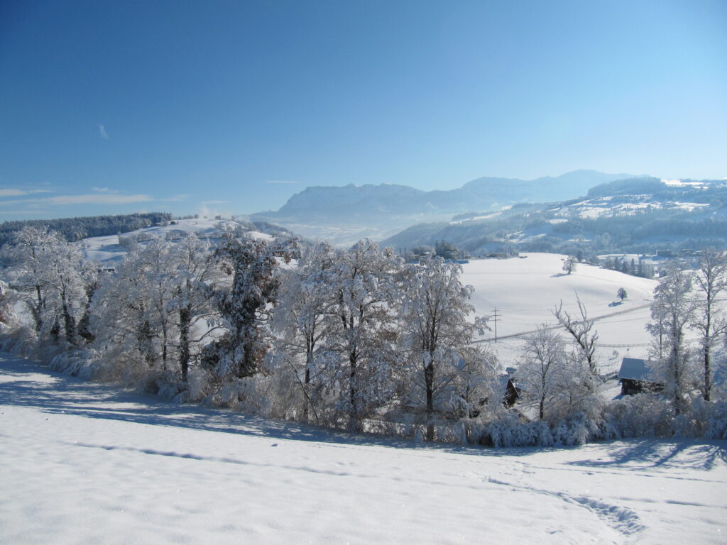 Viehweide, im Hintergrund der Pilatus